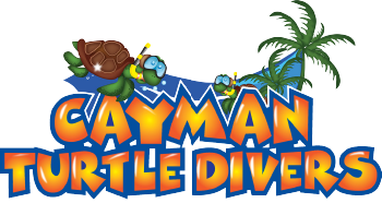 Cayman Turtle Divers