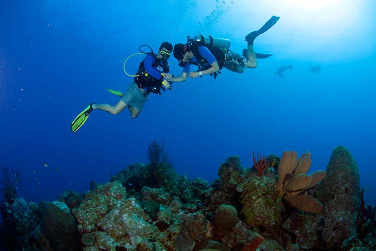 PADI Certifications | Cayman Islands