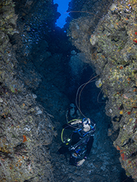 PADI Advanced Open Water Certification | Cayman